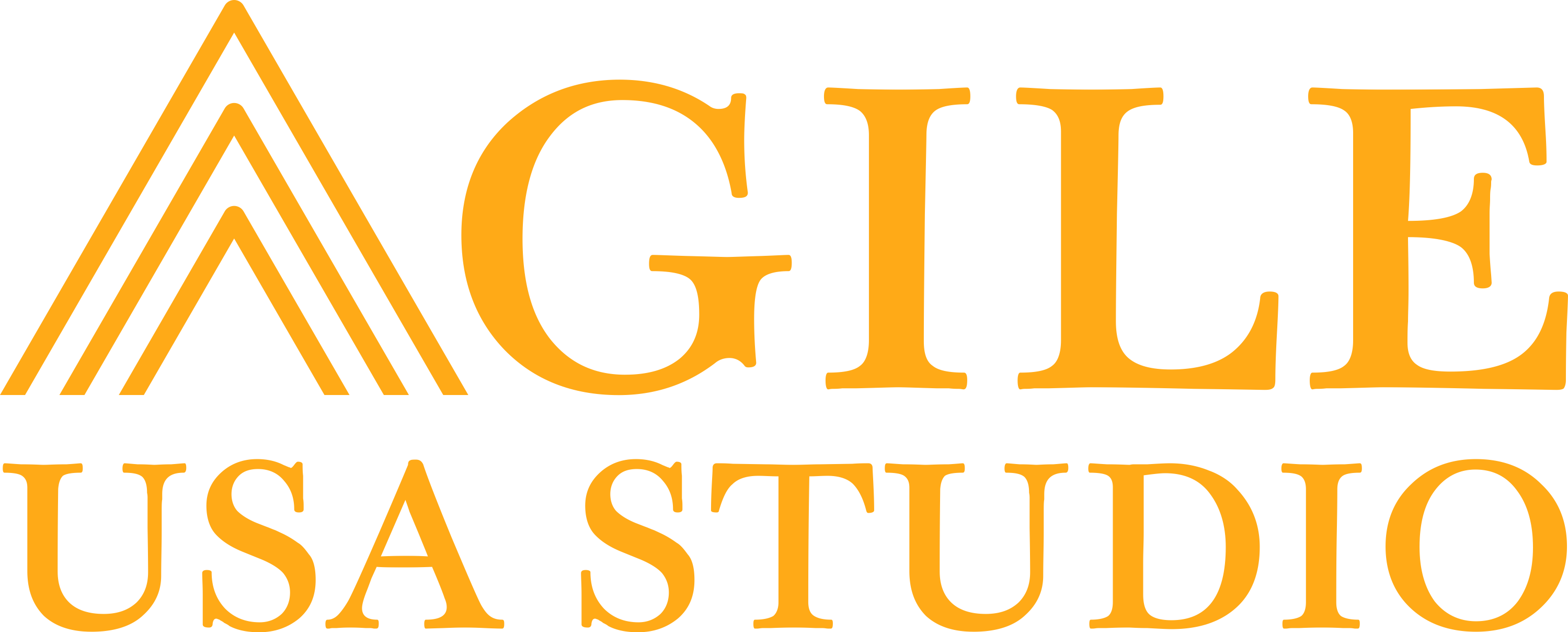 Agile USA Studio