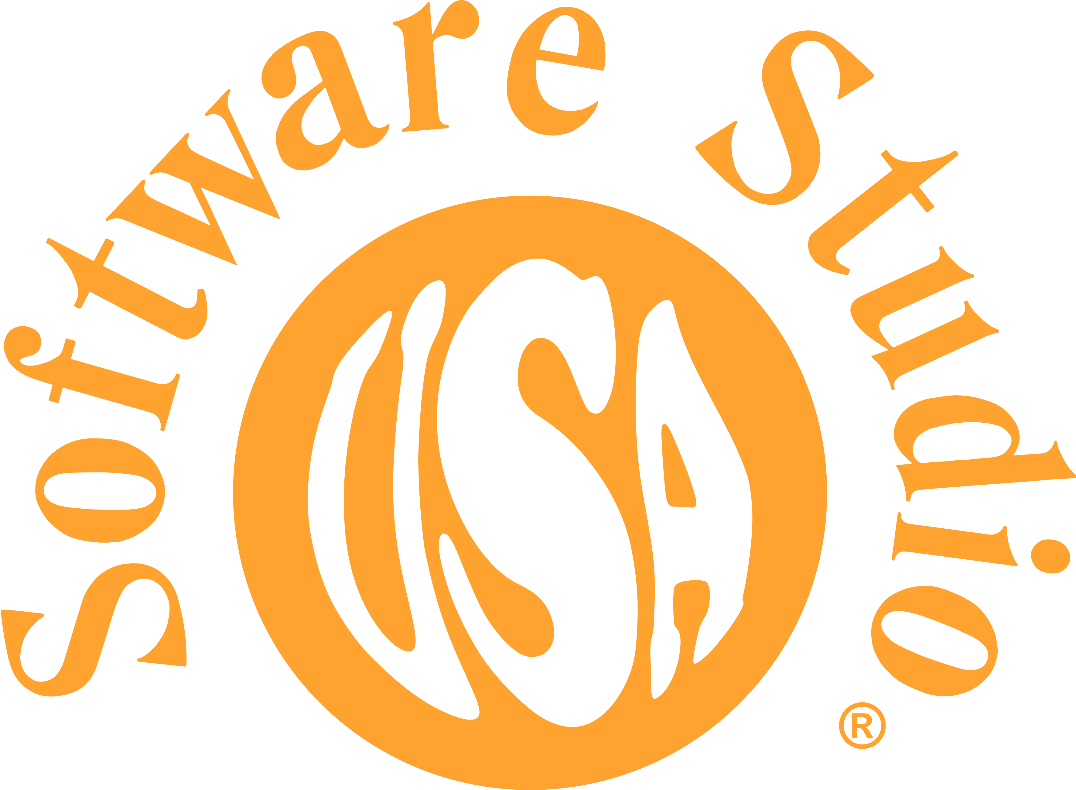 Software Studio USA
